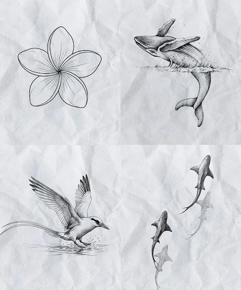 Flash dispo chez Dodo TAttoo